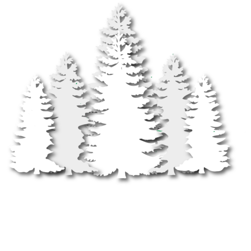 Forestal MT
