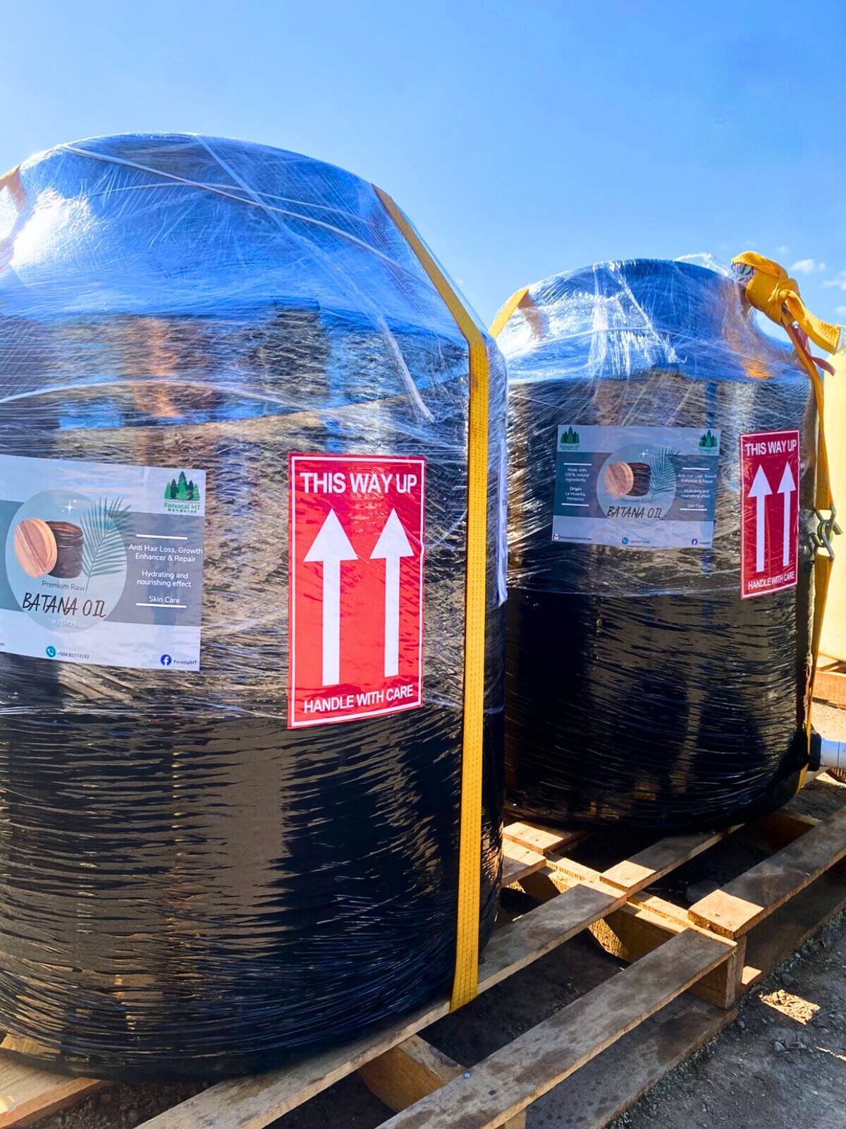 Two large Forestal MT branded bulk shipping drums on pallets with blue sky behind — export-scale batana oil supply