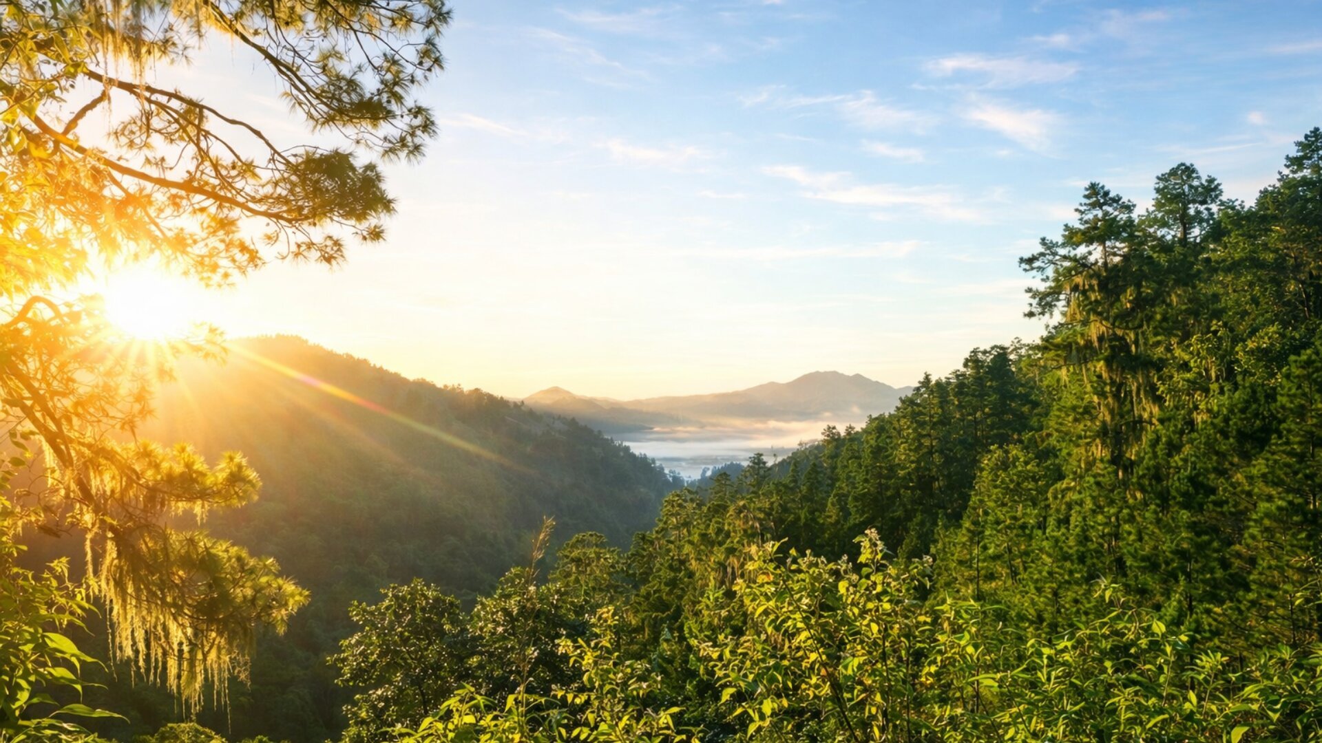 Forestal MT team with indigenous partners in Honduran forest