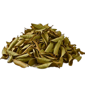 Guava Leaves