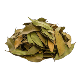 Mango Leaves