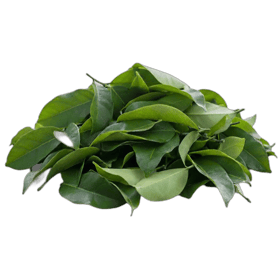 Soursop Leaves
