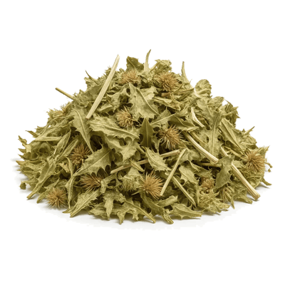 Blessed - Holy Thistle - Forestal MT product image