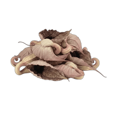 Duck Flower - Forestal MT product image