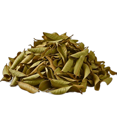 Guava Leaves - Forestal MT product image