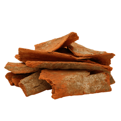 Gumbo Limbo Bark - Forestal MT product image