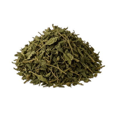 Gumbo Limbo Leaves - Forestal MT product image