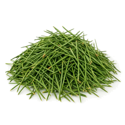 Pine Needles - Forestal MT product image