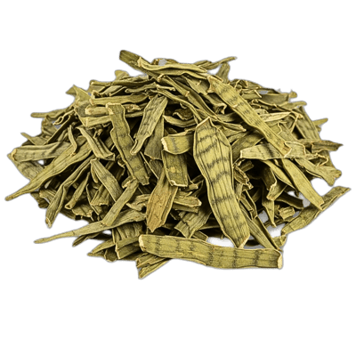 Snake Plant - Forestal MT product image