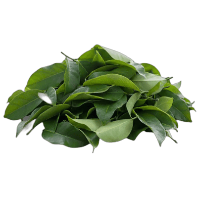 Soursop Leaves - Forestal MT product image