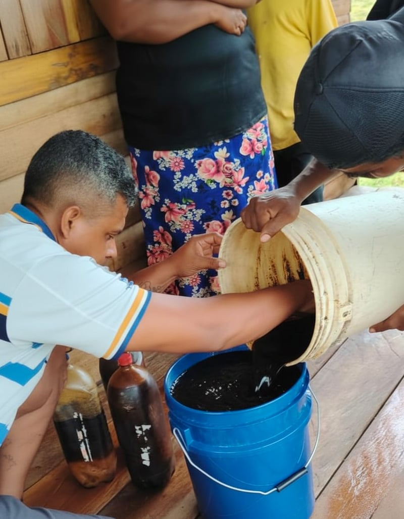 Miskito men handling batana oil barrels in La Mosquitia, Honduras — traditional processing at origin