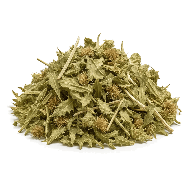 Blessed - Holy Thistle - Forestal MT product image