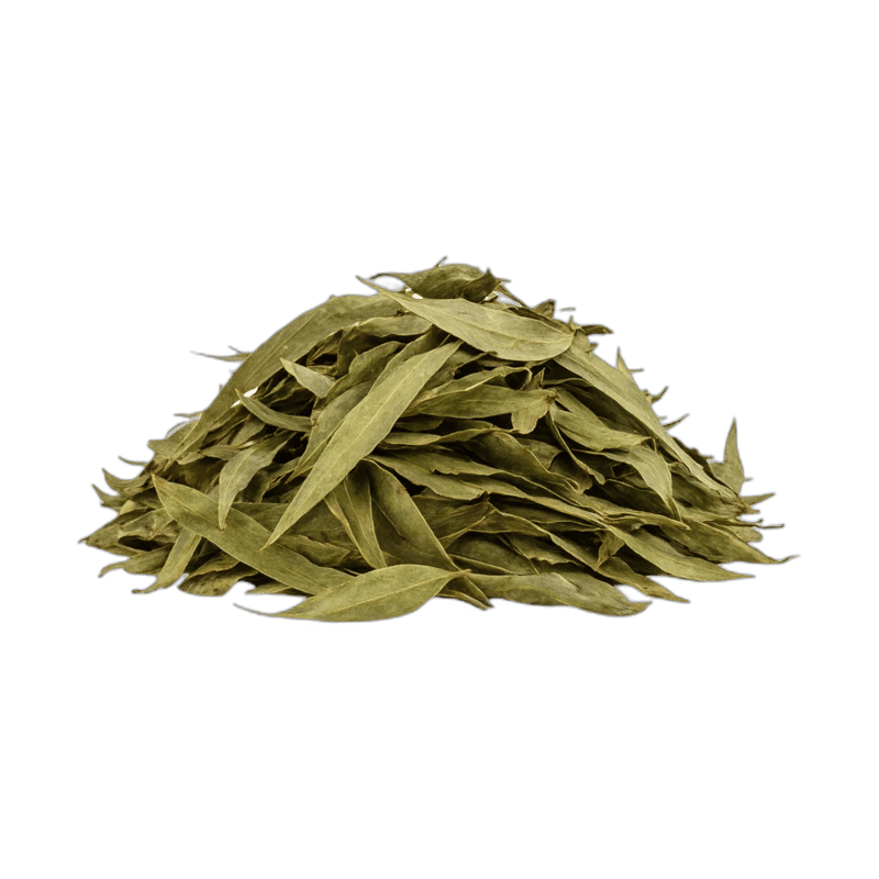 Eucalyptus Leaves - Forestal MT product image
