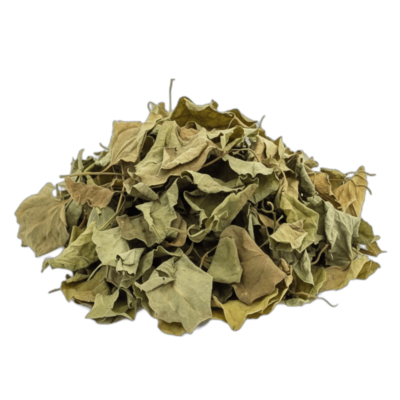 Guaco Leaves - Forestal MT product image
