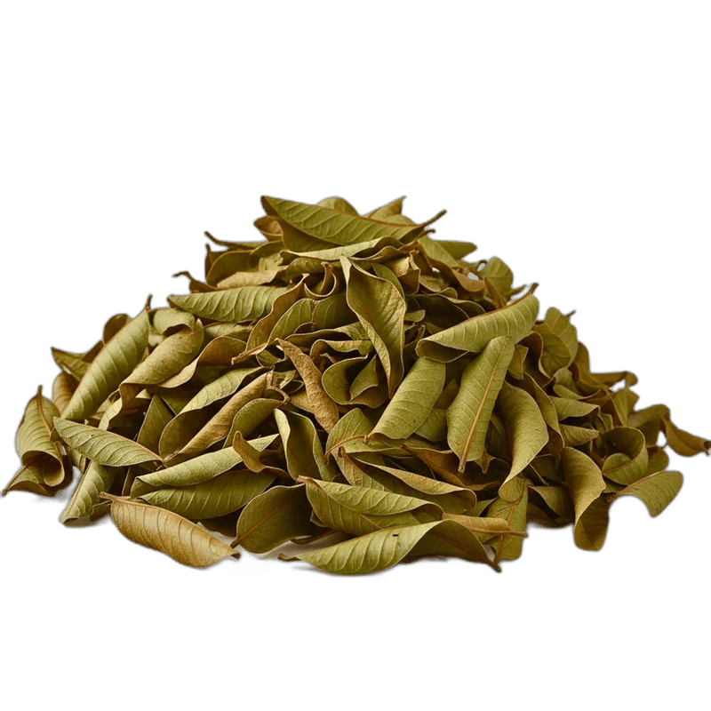 Guava Leaves - Forestal MT product image