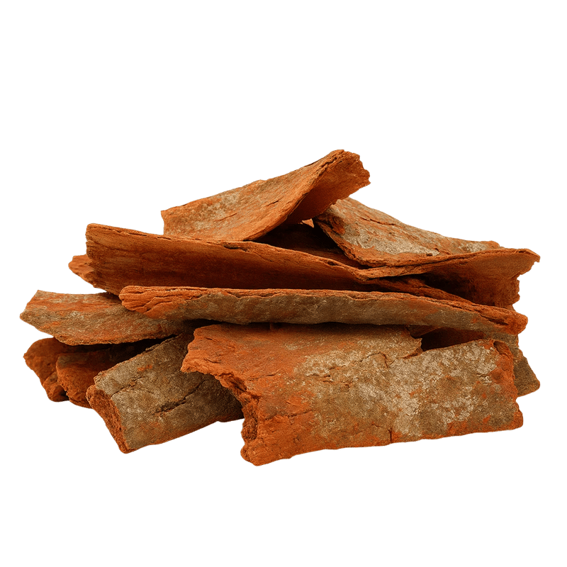 Gumbo Limbo Bark - Forestal MT product image