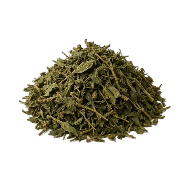 Gumbo Limbo Leaves - Forestal MT product image