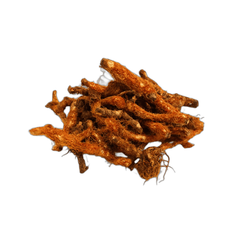 Kalawalla Root - Forestal MT product image