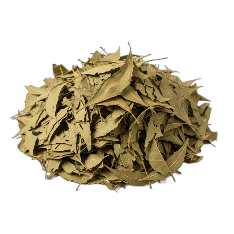 Neem Leaves - Forestal MT product image