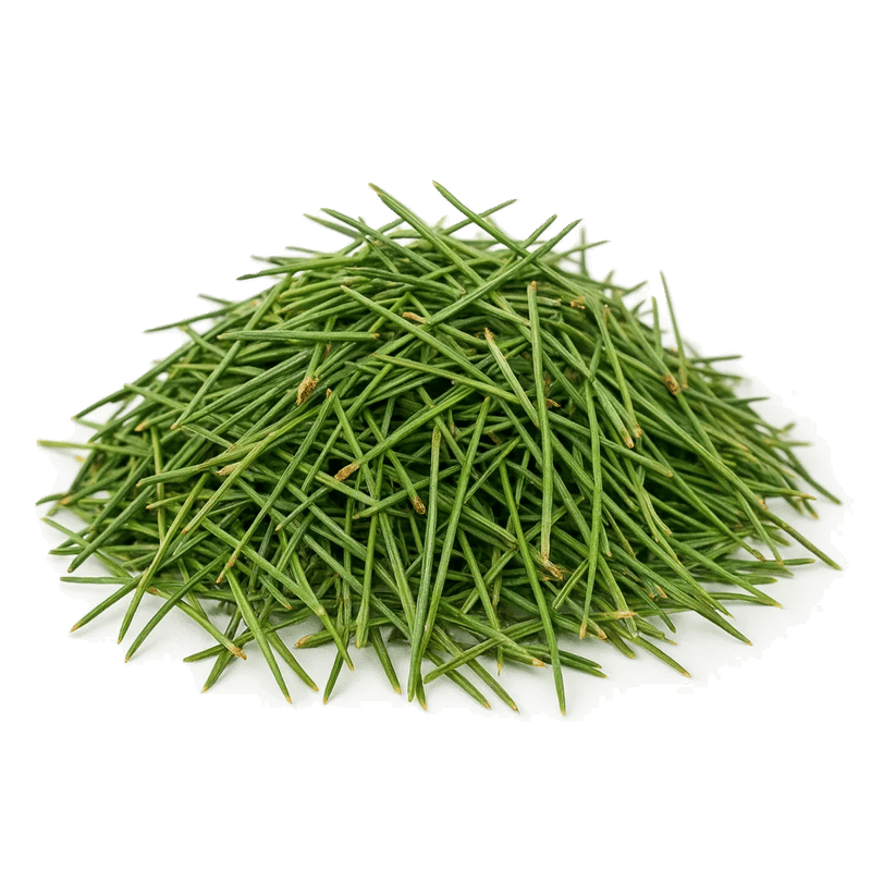 Pine Needles - Forestal MT product image