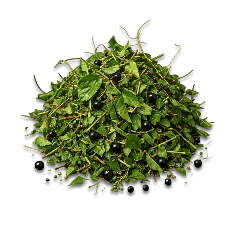 Possum Grape - Cissus - Forestal MT product image